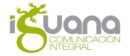 Iguana